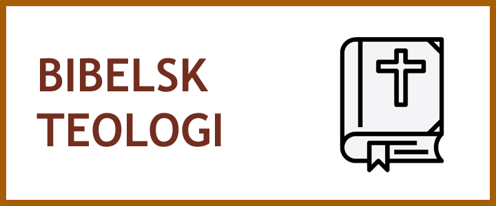 Faget Bibelsk teologi